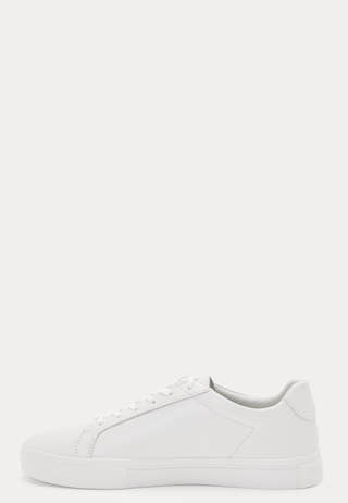 Cody Sneakers