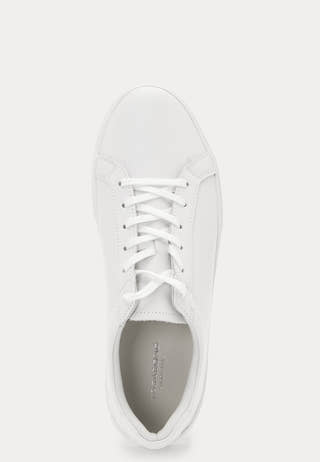 Cody Sneakers