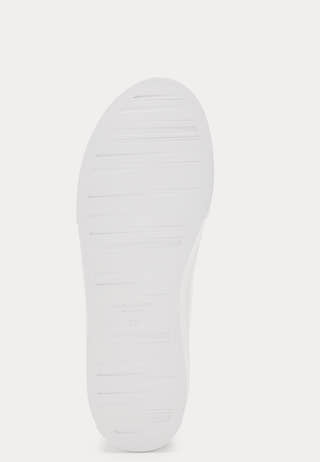 Cody Sneakers