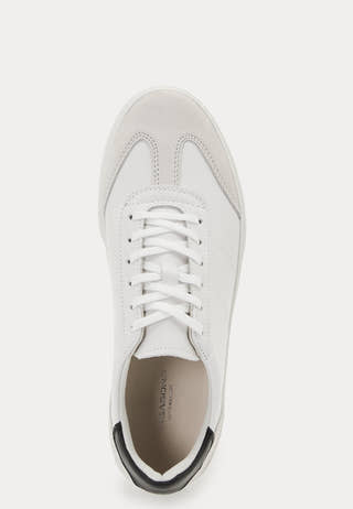 Cody Sneakers