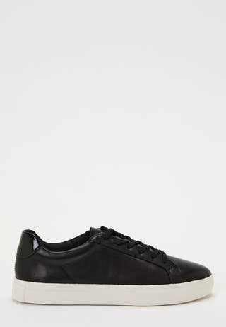 Cody Sneakers