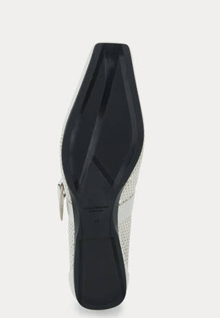Wioletta Ballerina